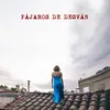 About Pajaros de Desván Song