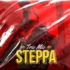 About Steppa Song