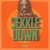 About Sekkle Down Song