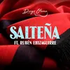 About Salteña Song