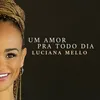 About Um Amor Pra Todo Dia Song