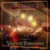 About Tributo a Vicente Fernandez Song