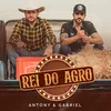 About Rei do Agro Song