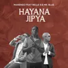 About Hayana Jipya Song