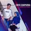 About Cinta sempurna Song