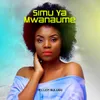About Simu Ya Mwanaume Song