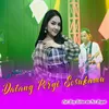 About Datang Pergi Sesukamu (Batiba) Song