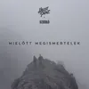 About Mielőtt megismertelek Song