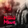 About Mtoto Wa Mama Mkwe Song