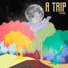 About A Trip Song