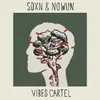 About Vibes Cartel Song