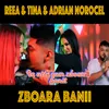 About Zboara Banii Song
