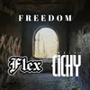 About Freedom Song