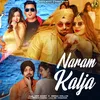 About Naram Kalja Song