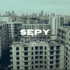 Sępy