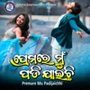 About Premare Mu Padijaichhi Song