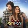 About Pani Pani Song