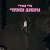 About נוסע סמוי Song