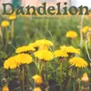 About Dandelion Song