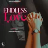 About Endless Love Song