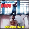 About Unde Naiba Erai Tu Song