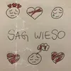 About Sag Wieso Song