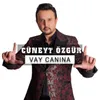 About Vay Canına Song