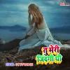 About Tu Meri jindagi Thi Song