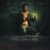 About Pareshaan Song