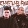 About Completa Meu Flow Song