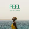 About FEEL Song