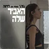 About האביר שלה Song