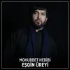 About Eşqin Üreyi Song