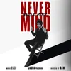 About Never Mind Song