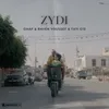 Zidi