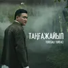 About Таңғажайып Song