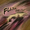 About Fuja, Melow! Song