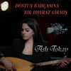 About Dostun Bahçasına Bir Hoyrat Girmiş Song