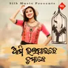 About Ami Bhalapauche Tumake Song