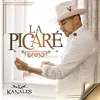 About La Picaré Song