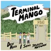 About Terminal Mango Song