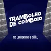 Trambolho de Comboio