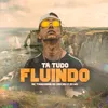 About Tá Tudo Fluindo Song