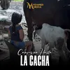 Campesina hasta la Cacha