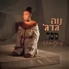 About מסך Song