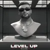 LEVEL UP