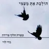 לו ידעת