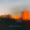 About Reality Song