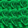 About GREEN ROSES FREESTYLE Song