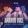 About Amando Você Ao Vivo Song